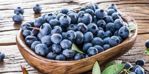 藍莓的營養價值與功效